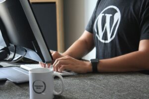 WordPress is now selling 100-year domains